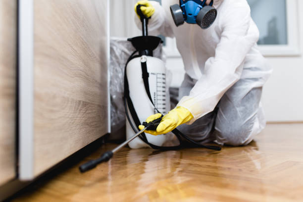 Trusted Columbus, IN Pest Control Experts
