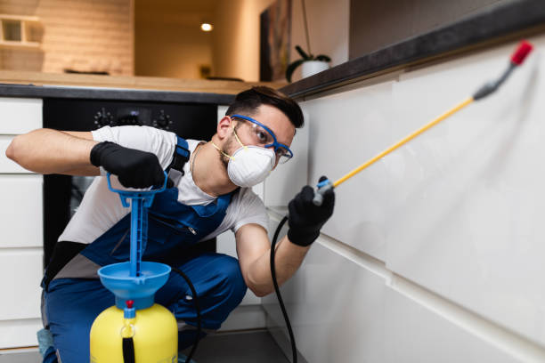 Wasp Removal Services in Columbus, IN