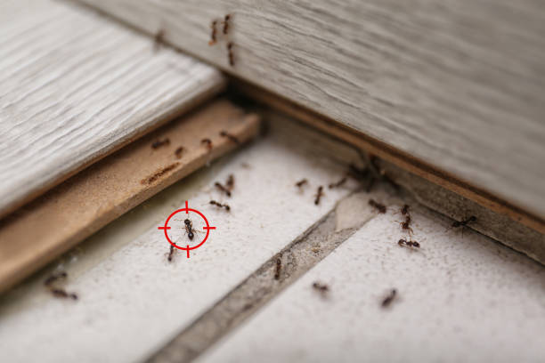 Best Cockroach Control Services  in Columbus, IN