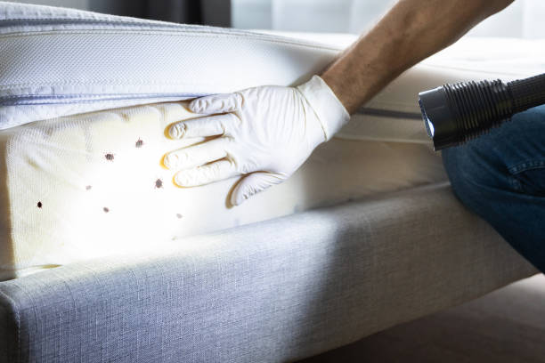Best Best Pest Control Companies  in Columbus, IN