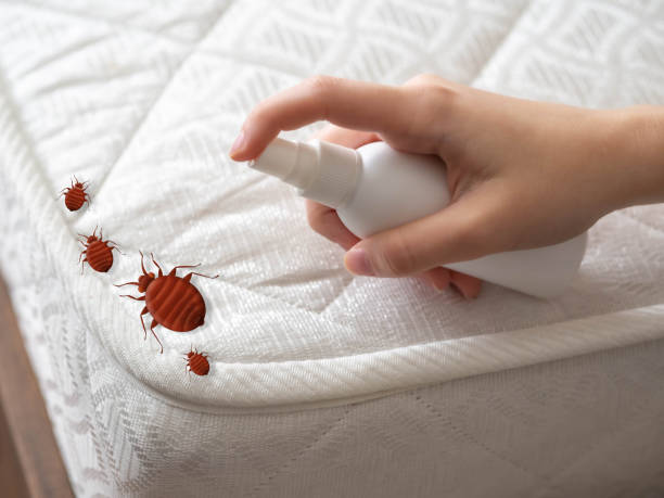 Best Termite Control Services  in Columbus, IN